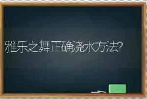 雅乐之舞正确浇水方法？