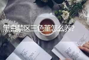 黑白禁区三色堇怎么养？
