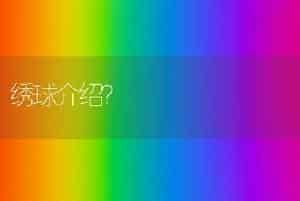 绣球介绍？
