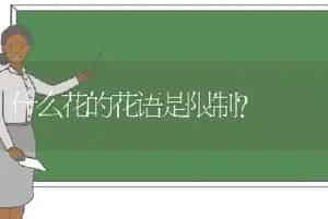 什么花的花语是限制？