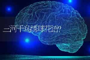 三河千鸟绣球花语？