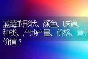 蓝莓的形状、颜色、味道、种类、产地产量、价格、营养价值？