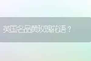 像玉坠多肉的植物？