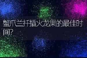 蟹爪兰扦插火龙果的最佳时间？