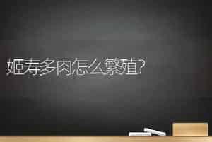 姬寿多肉怎么繁殖？