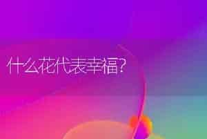 什么花代表幸福？