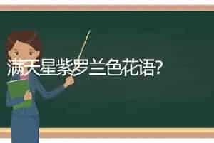 芙蓉和月季的区别？