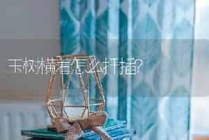 玉树横着怎么扦插？