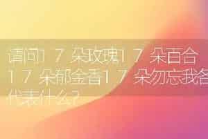 请问17朵玫瑰17朵百合17朵郁金香17朵勿忘我各代表什么？
