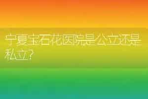 宁夏宝石花医院是公立还是私立？