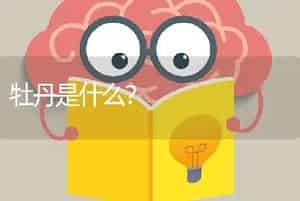 氯氰菊酯月季可以用吗？