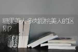 买回来的蟹爪兰无土壤怎么办？