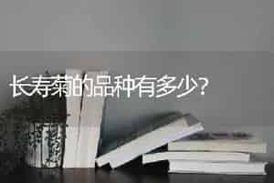 长寿菊的品种有多少？