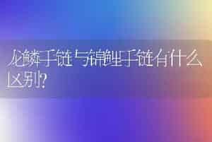 掌上珊瑚怜不得却叫移作上阳花是什么意思。请帮忙？