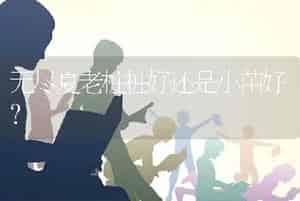 无尽夏老桩桩好还是小苗好？