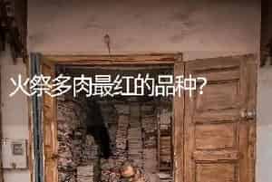 火祭多肉最红的品种？