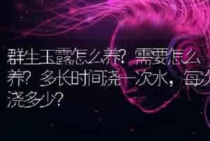 群生玉露怎么养?需要怎么养？多长时间浇一次水，每次浇多少？