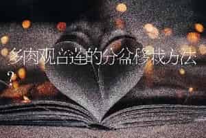 多肉观音莲的分盆移栽方法？