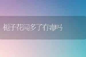 爬藤欧月怎么修剪？