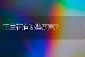 金狐狸扦插时间？