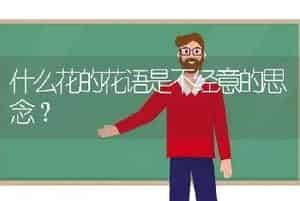 什么花的花语是不经意的思念？