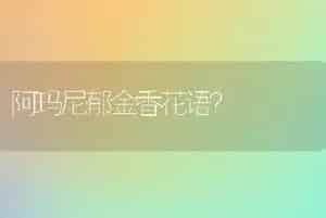蟹爪兰顶部叶子紫红色是咋回事？