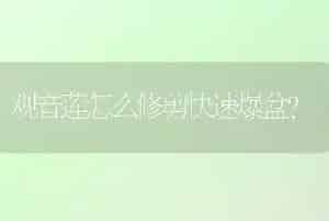观音莲怎么修剪快速爆盆？