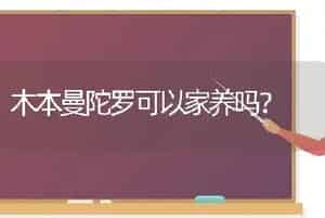 木本曼陀罗可以家养吗？