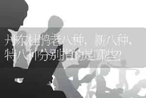 丹东杜鹃老八种，新八种，特八种分别指的是哪些？