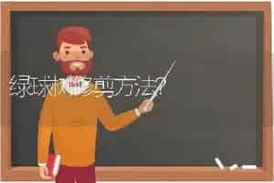 绿球树修剪方法？