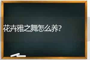 花卉雅之舞怎么养？