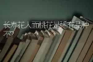 长寿花人面桃花是稀有品种不？
