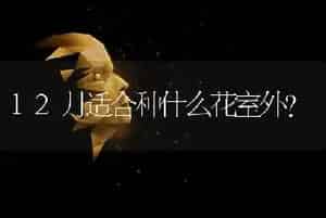 三色堇和鲁氏石莲哪个好养？