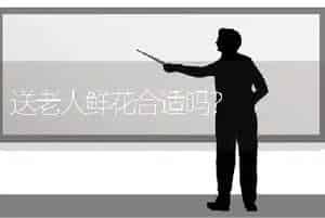 送老人鲜花合适吗？