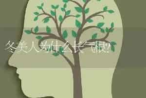 冬美人为什么长气根？