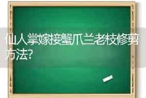仙人掌嫁接蟹爪兰老枝修剪方法？