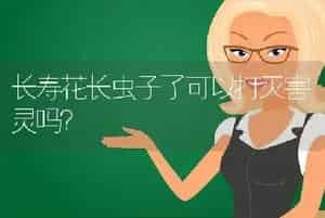 长寿花长虫子了可以打灭害灵吗？
