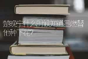 霸王玉的寓意？