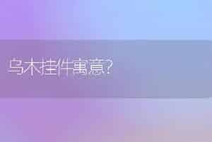 乌木挂件寓意？