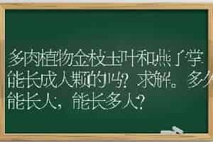 多肉植物金枝玉叶和燕子掌能长成大颗的吗？求解。多久能长大，能长多大？