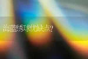 海蓝绣球优缺点？