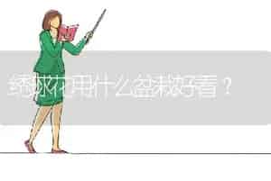 绣球花用什么盆栽好看？