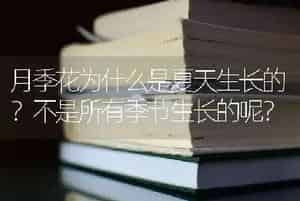 月季花为什么是夏天生长的？不是所有季节生长的呢？