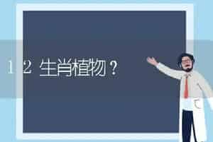 12生肖植物？