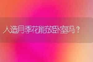 人造月季花能放卧室吗？