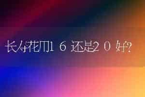 长寿花用16还是20好？