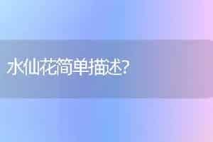 玉树越长越瘦是怎么回事？