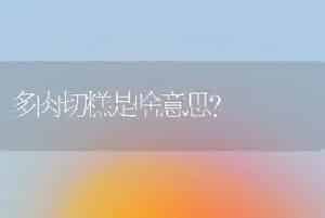 多肉切糕是啥意思？