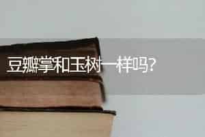 豆瓣掌和玉树一样吗？