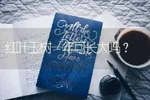 红叶玉树一年可长大吗？